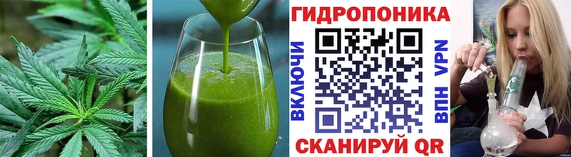 купить наркотики цена  кракен ТОР  Печенье с ТГК конопля  Калач 