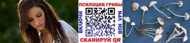 где купить   Калач  Псилоцибиновые грибы мухоморы 